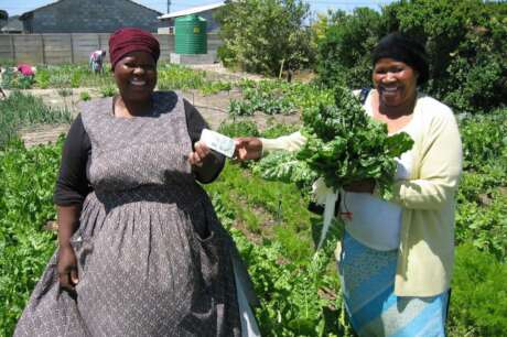 Micro-farming among the poor Cape Town