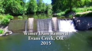 Dam Removal - Phase 1