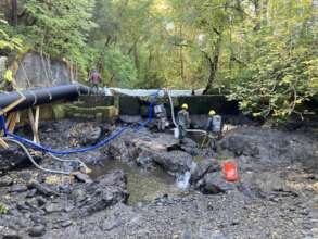 Fish salvage operations