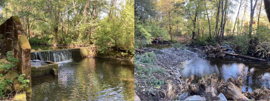 Before and after at dam site