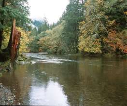 Kilchis River - Under threat