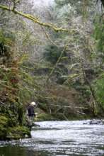 Nehalem River Photo