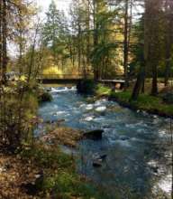 An Upstream View of Drift Creek