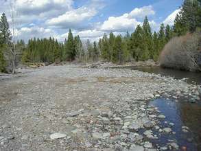 Whychus Creek near Sisters