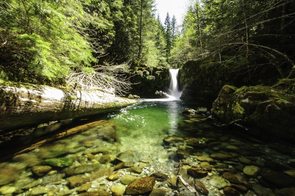 Protect and Restore Free Flowing Oregon Rivers