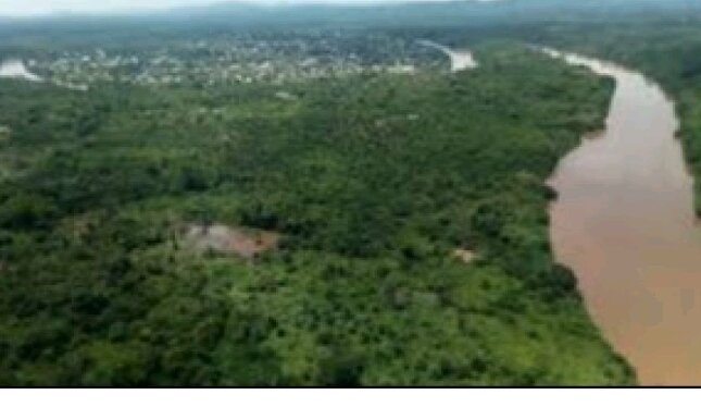 Generosity, voice of biodiversity in the DRC