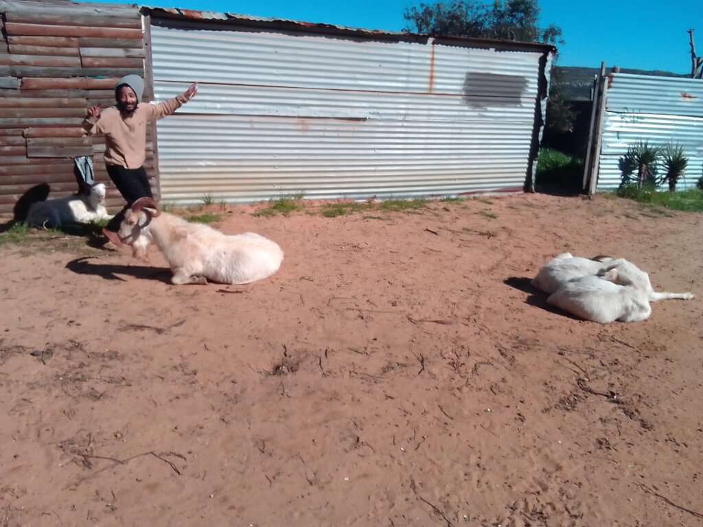 Build Eco-Toilets for over 400 people in Africa