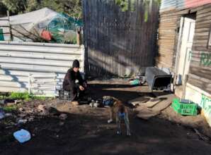 Community is Everything