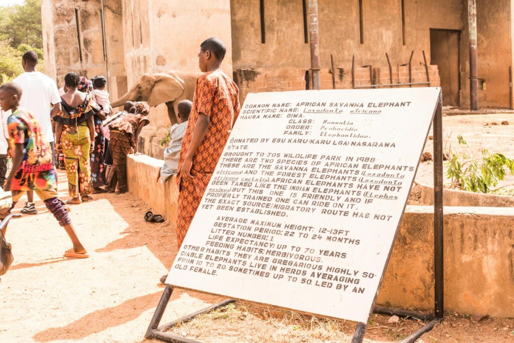 Save Nigeria's Last Zoo Elephants