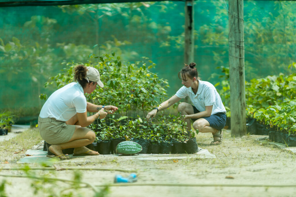 Protect Sea Turtles & Ecosystems in Seychelles