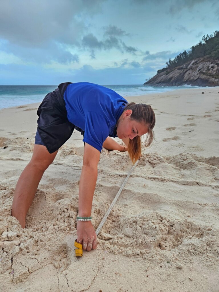 Protect Sea Turtles & Ecosystems in Seychelles