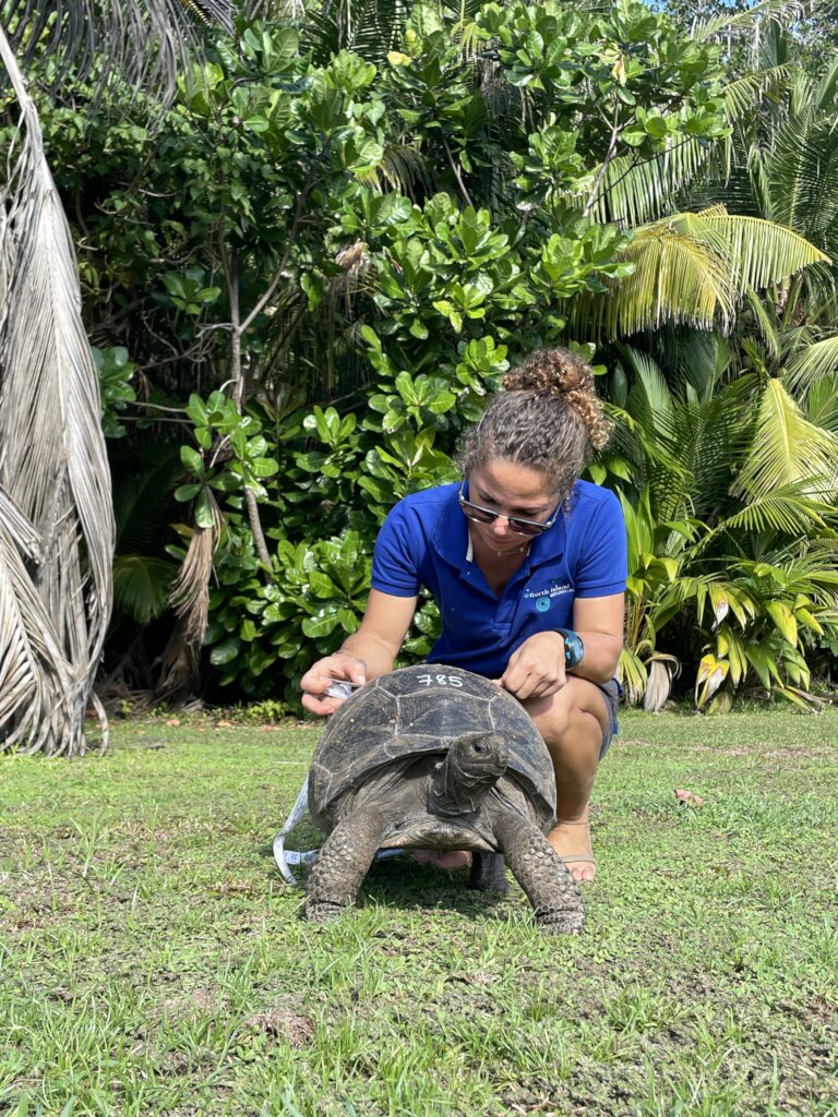 Protect Sea Turtles & Ecosystems in Seychelles