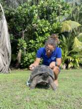 Aldabra giant tortoises monitoring