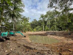 Native wetland restoration