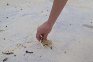 Picking-up ocean waste
