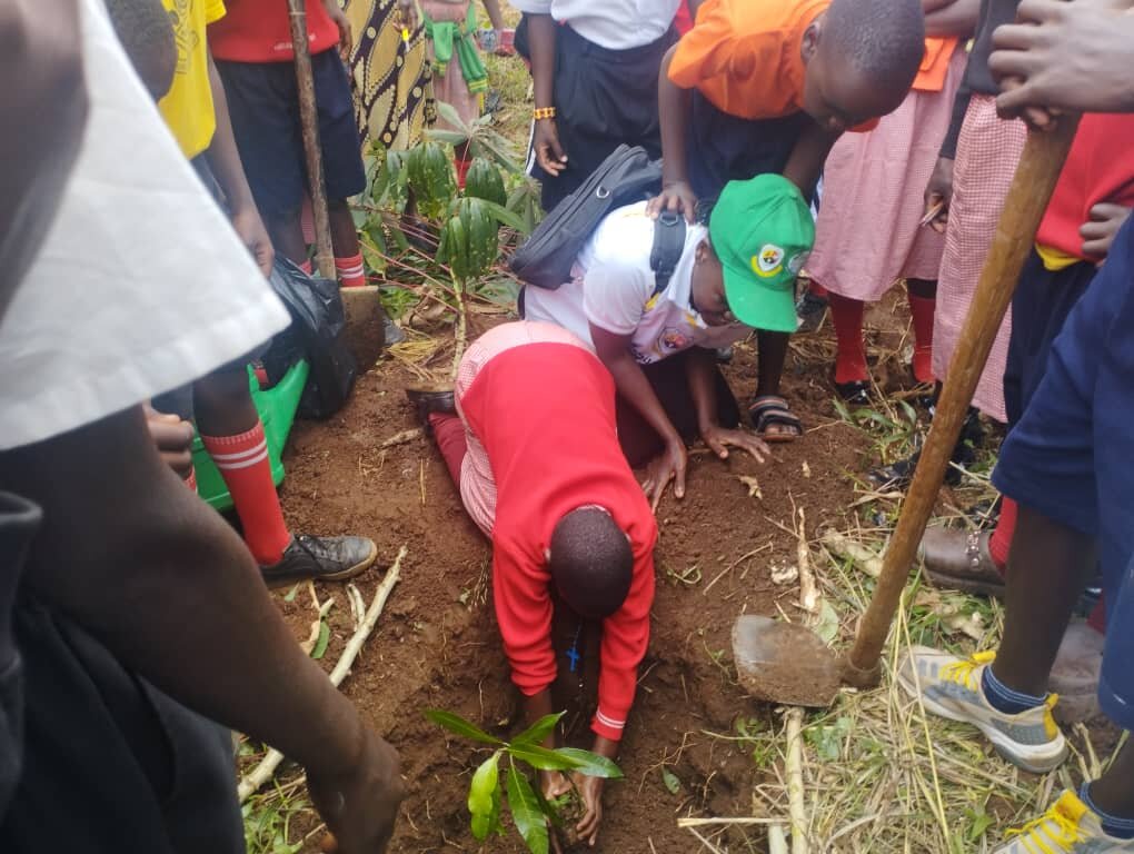 Tree Nurseries for Climate Resilience in Uganda
