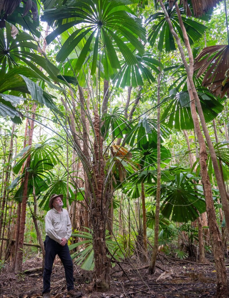 Protecting the Future of the World's Rainforests