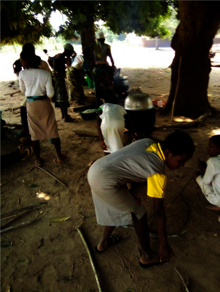 Lita Stoves: Urgent Action for Forests and Women