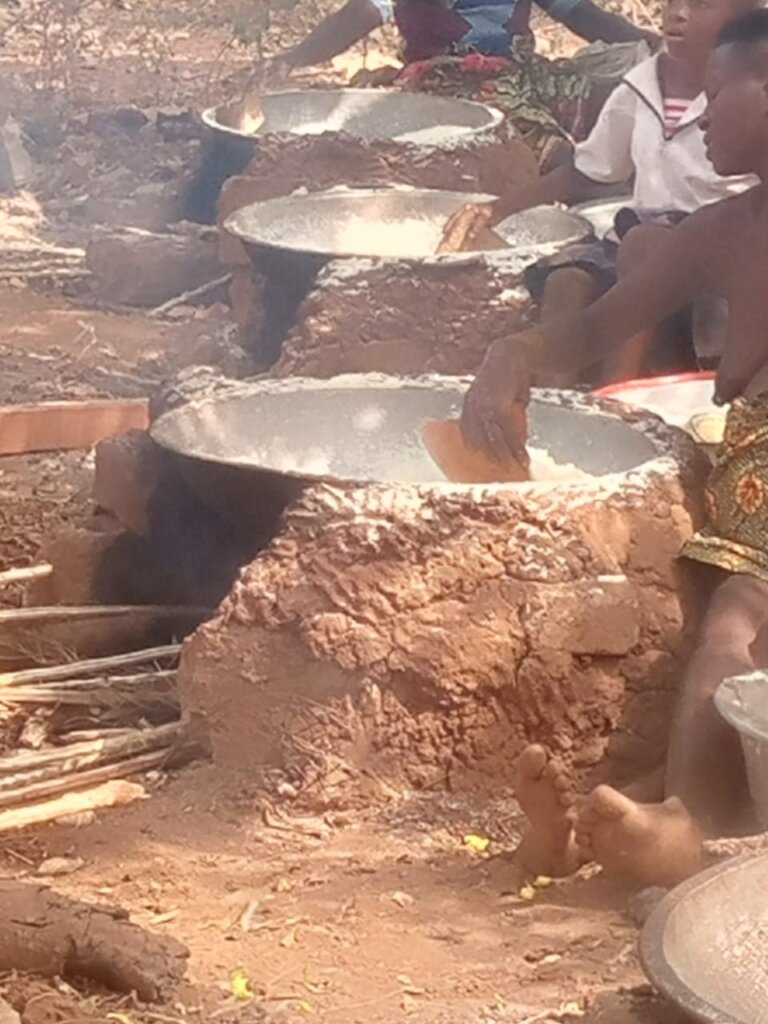 Lita Stoves: Urgent Action for Forests and Women