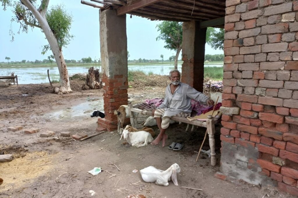 Providing monthly medicines to vulnerable seniors