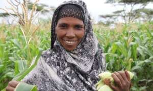 Empowering Communities to Thrive After Crisis