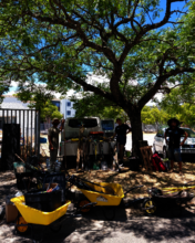 Ready to green Stellenbosch Provincial Hospital