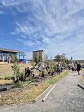 Sun shining on Philippi Village, Cape Town