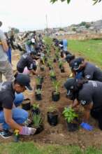 Alex Water Warriors Garden Day