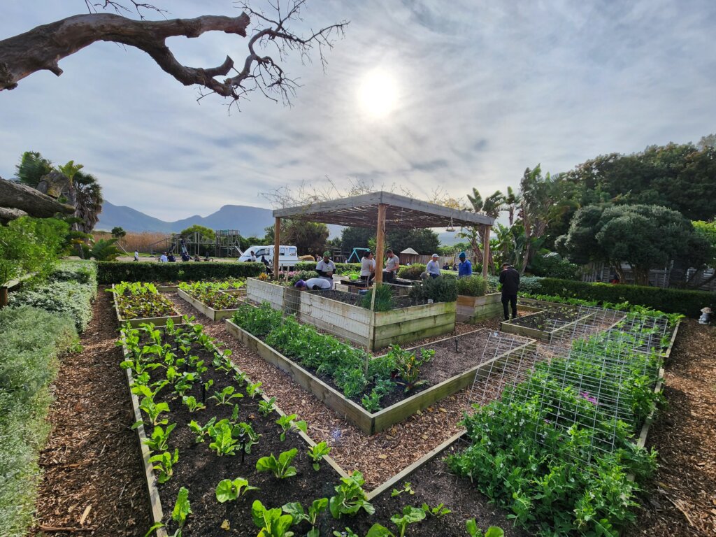 Support thriving Living Landscapes in South Africa