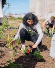Support thriving Living Landscapes in South Africa