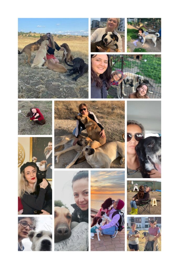 LOVE, CARE, LIFE FOR STRAYS IN TURKEY