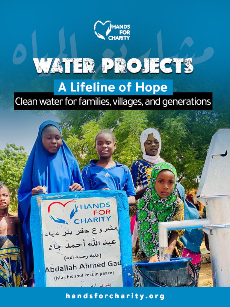 Water Well Projects in Niger and Chad