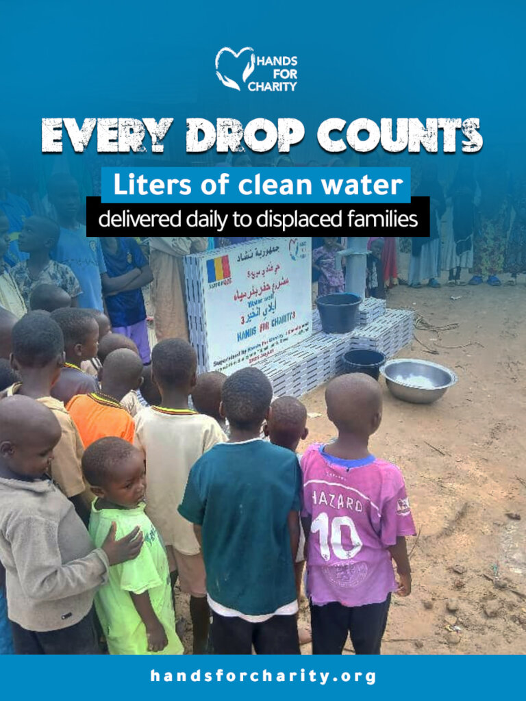 Water Well Projects in Niger and Chad