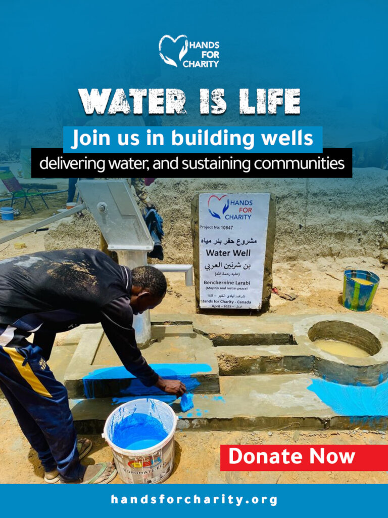 Water Well Projects in Niger and Chad