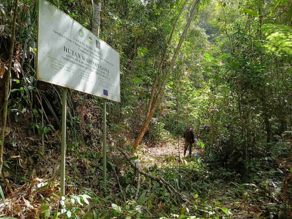 Gana Village Sustainable Farming Support