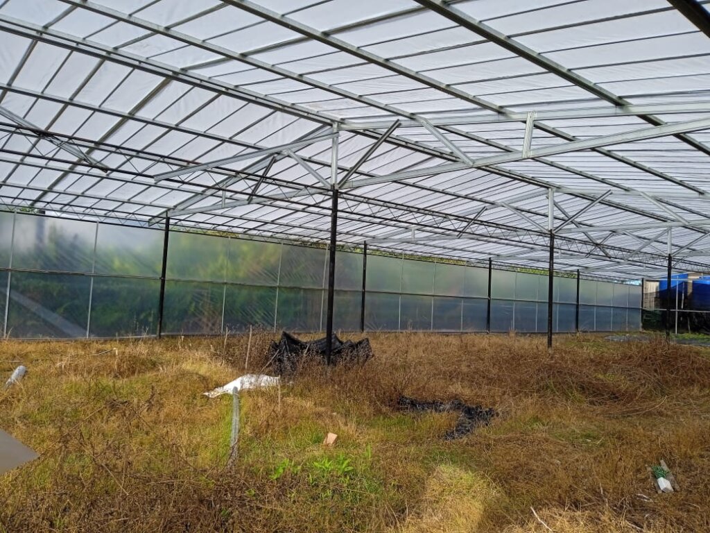 Gana Village Sustainable Farming Support