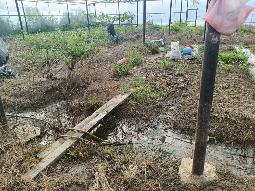 Gana Village Sustainable Farming Support