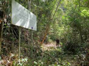 Lingkabau Forest Reserve entrance
