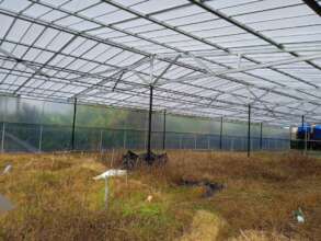 Inside of greenhouse (predamaged)