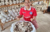 Gana Village Sustainable Farming Support