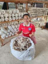 Gana Village Sustainable Farming Support
