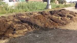 our area unlean