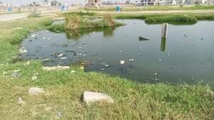 our village area