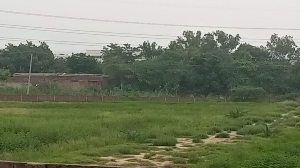 production land