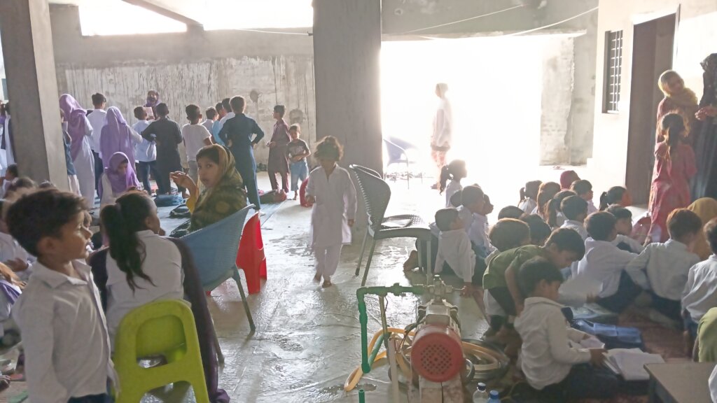 School Farm: Growing Food, Growing Futures