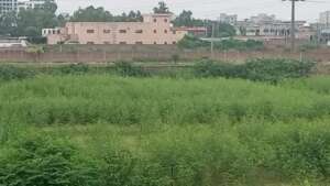 production land