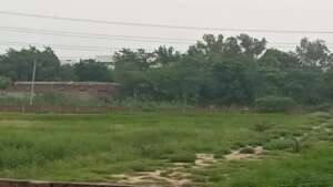 production land