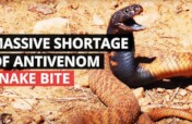 Help Nigerian Villages with Snakebite Treatment