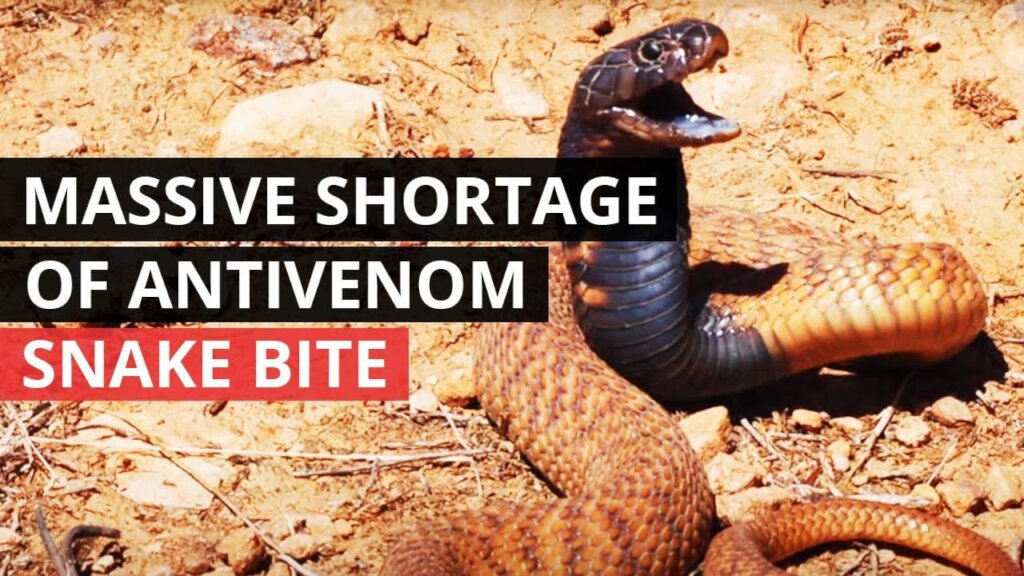 Help Nigerian Villages with Snakebite Treatment