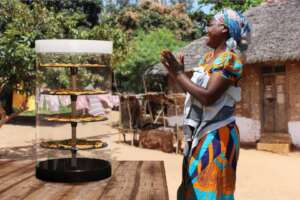 Solar Food Dehydrators for 500 Nigerian Farmers